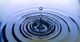 Water drop makes ripples on water