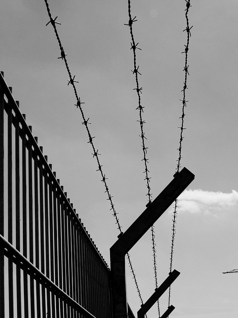 photo of a barbed wire fence